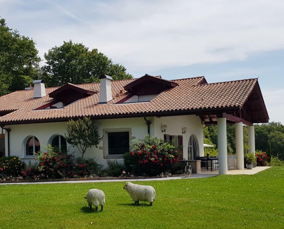 Guest house Maison D Hotes Lapitxuri *